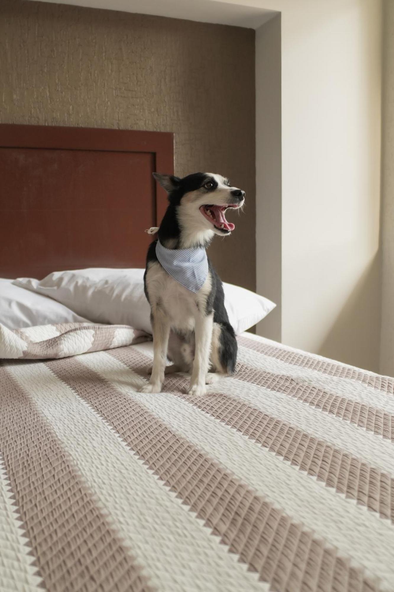 Hotel San Marcos Aguascalientes Dış mekan fotoğraf
